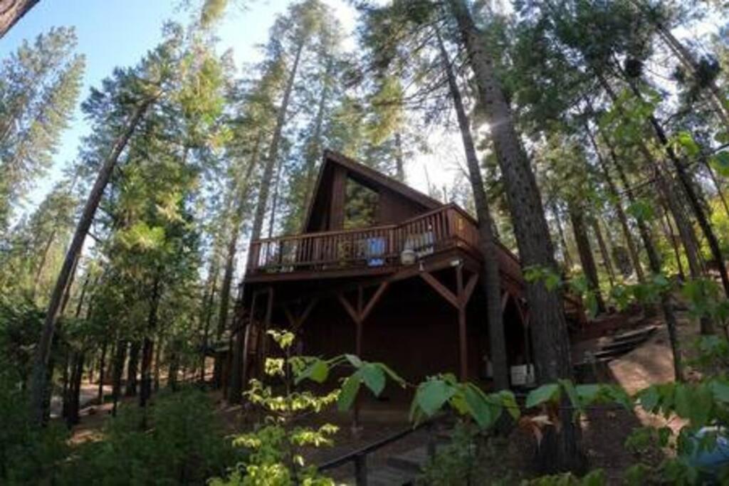 Pinecrest A-Frame Family Fun Near Dodge Ridge Villa Long Barn Buitenkant foto